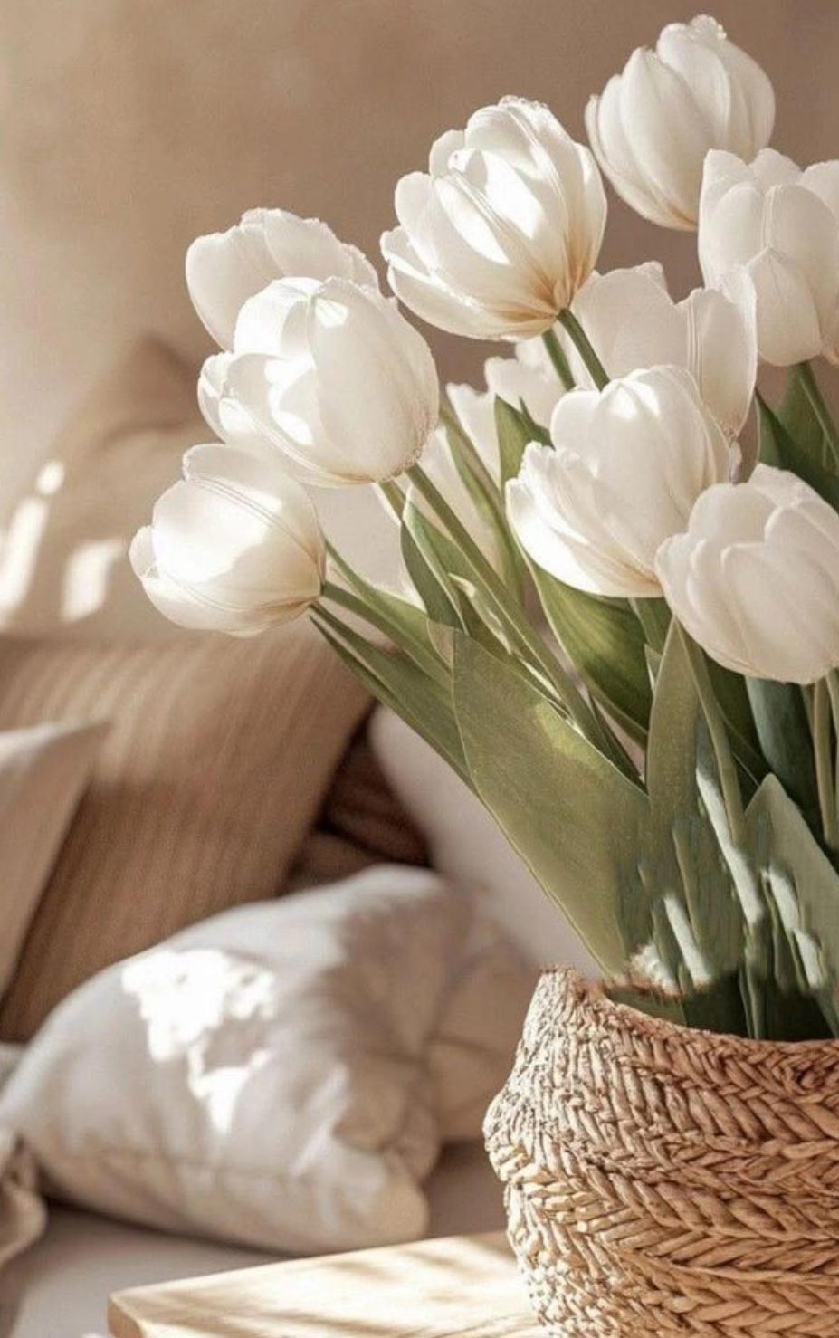 Consulenza per lo Sviluppo Personale Sistema One Brain™