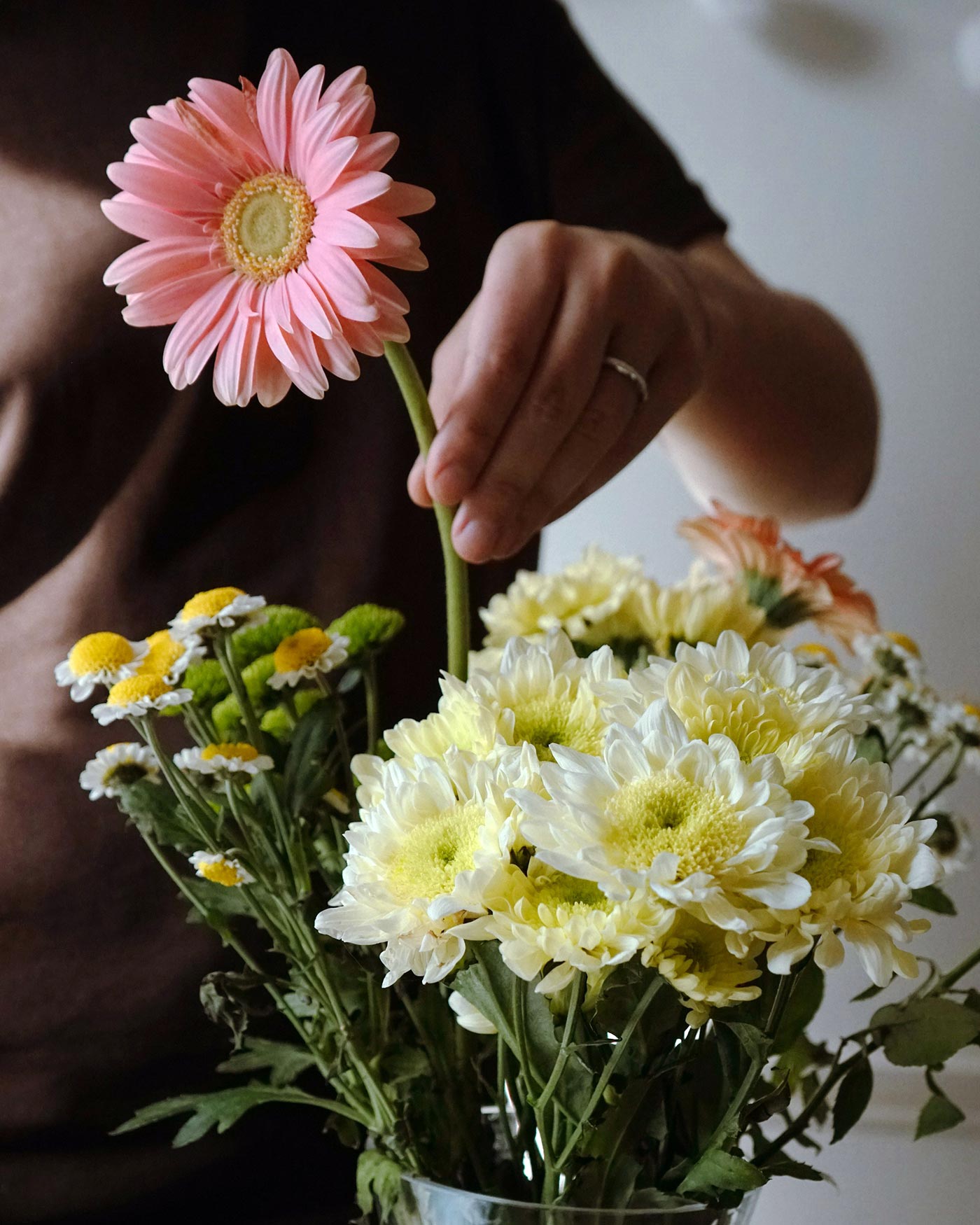 Genetica Comportamentale - Sonia Rizzi